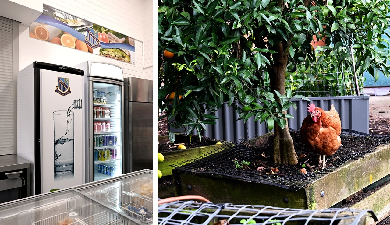 RF_Website_Images_Case studies_Dural7